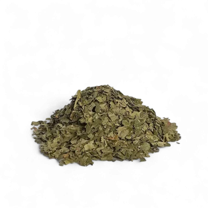 Betulla foglie diuretica e depurativa per drenaggio liquidi e benessere urinario