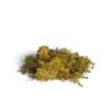 Calendula fiori emolliente e lenitiva per pelle, ciclo mestruale e digestione