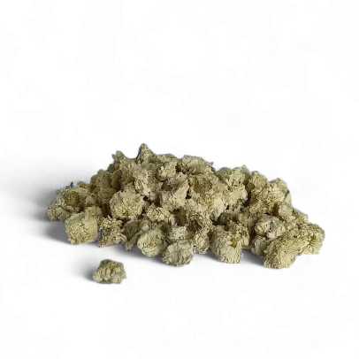 Camomilla romana fiori per proprietà calmanti, digestive e benessere nervoso