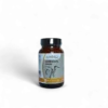 Cordyceps Sinensis per energia, resistenza e recupero naturale, ideale per sportivi e vita quotidiana