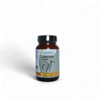 Cordyceps Sinensis per energia, resistenza e recupero naturale, ideale per sportivi e vita quotidiana