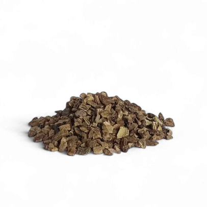 Enula campana radice balsamica ed espettorante per tosse e benessere digestivo