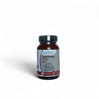 Ganoderma lucidum Reishi per difese immunitarie, energia, adattamento allo stress e benessere quotidiano