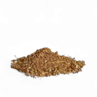 Ginseng radice tonico adattogeno per energia, concentrazione e vitalità