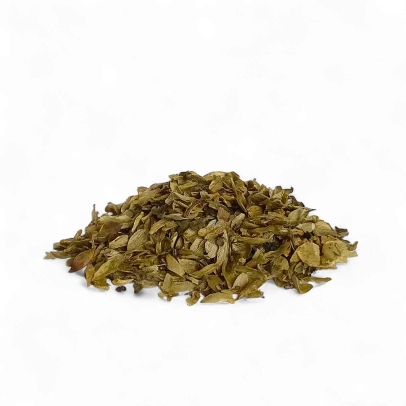 Luppolo fiori rilassanti e spasmolitici per sonno, calma emotiva e benessere digestivo