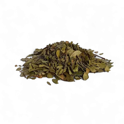 Mirto foglie digestive e balsamiche per benessere digestivo e vie respiratorie