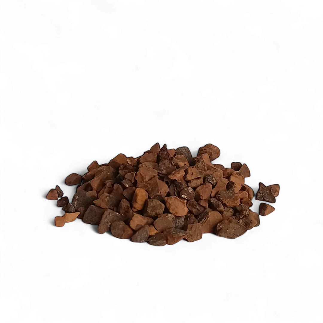 Noce di Cola semi stimolanti e tonici per energia, resistenza e vitalità
