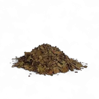 Noce foglie astringenti e depurative per benessere intestinale, pelle e articolazioni