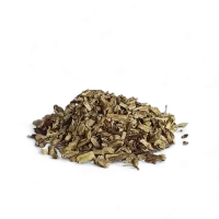 Ononide radice depurativa e diuretica per benessere renale, cistite e ritenzione idrica