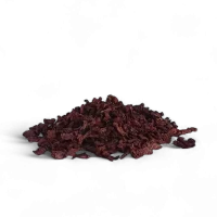 Papavero rosso petali sedativi e calmanti per riposo, tosse e benessere emotivo