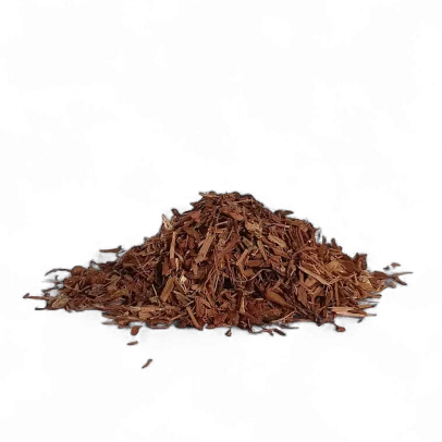 Quercia corteccia astringente e tonica per mucose, digestione e disturbi gastrointestinali