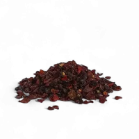 ROSA CANINA cinorrodi senza semi