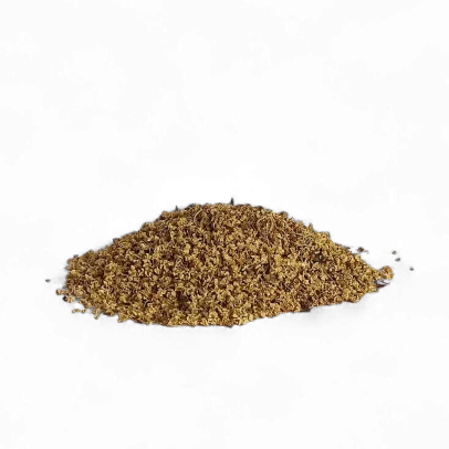 Sambuco fiori sudoriferi e antinfiammatori per raffreddore, difese immunitarie e digestione