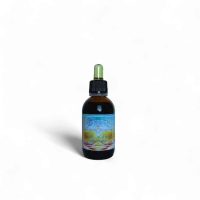 Uva ursina composta sostiene le vie urinarie, favorisce drenaggio e protegge le mucose, rafforza le difese naturali con uva ursina, ginepro, mirtillo ed echinacea