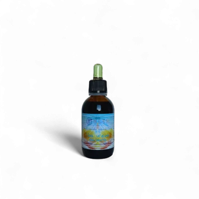 Uva ursina composta sostiene le vie urinarie, favorisce drenaggio e protegge le mucose, rafforza le difese naturali con uva ursina, ginepro, mirtillo ed echinacea