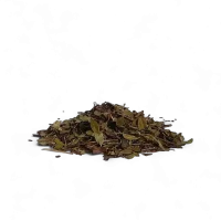 Uva ursina foglie antisettiche e astringenti per vie urinarie, cistite e infiammazioni