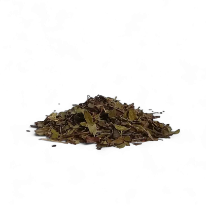 Uva ursina foglie antisettiche e astringenti per vie urinarie, cistite e infiammazioni