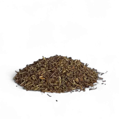 Veronica sommità fiorite digestiva e tonica per fegato e vie respiratorie
