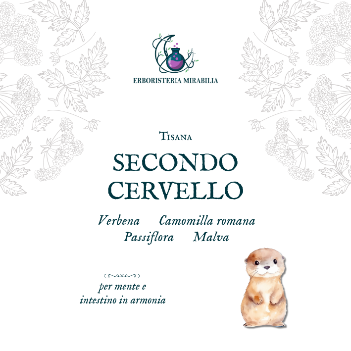 SECONDO CERVELLO tisana - immagine 2