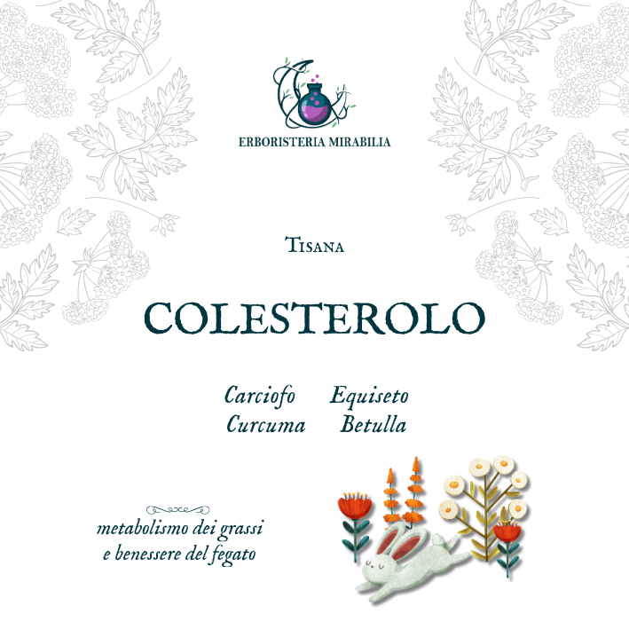 COLESTEROLO tisana - immagine 2
