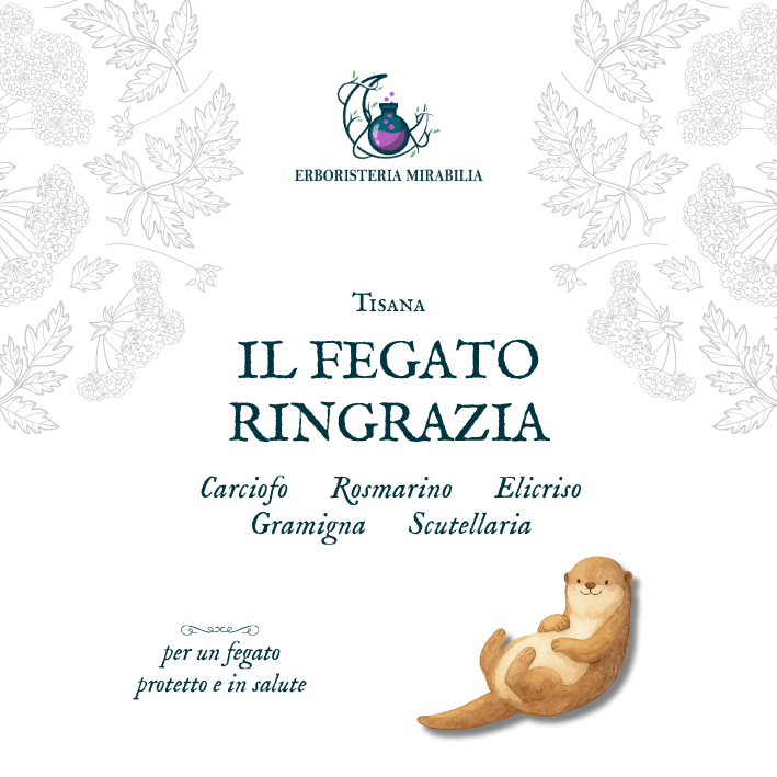 IL FEGATO RINGRAZIA tisana - immagine 2